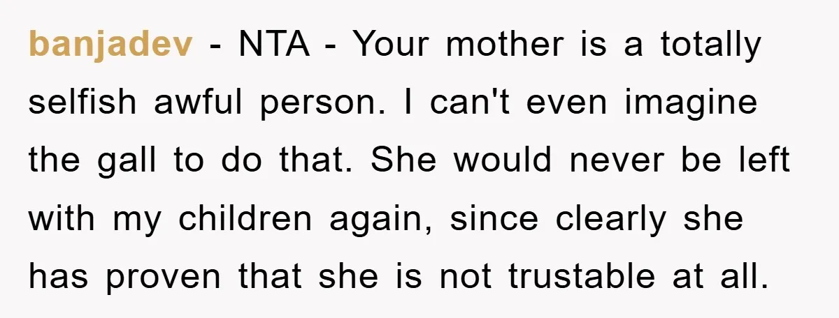 banjadev − NTA - Your mother is a totally selfish awful person. I can't even imagine the gall to do that. She would never be left with my children again,...