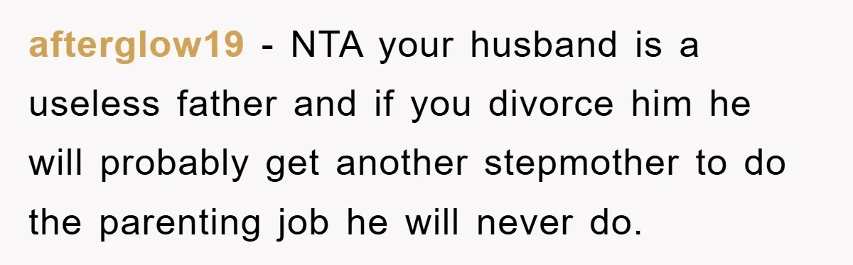 afterglow19 − NTA your husband is a useless father and if you divorce him he will probably get another stepmother to do the parenting job he will never do.
