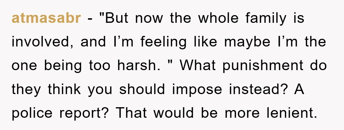 atmasabr − "But now the whole family is involved, and I’m feeling like maybe I’m the one being too harsh. " What punishment do they think you should impose instead?...