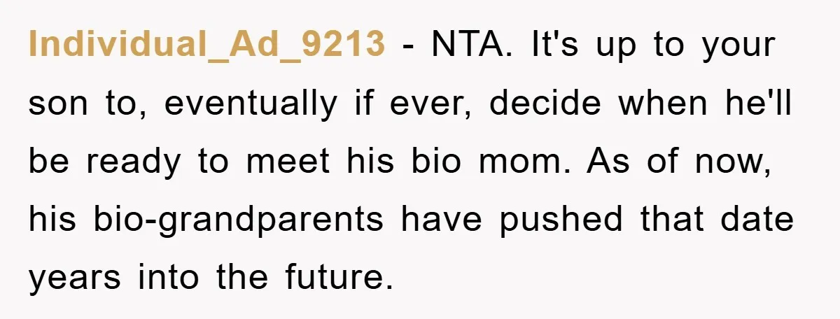 Individual_Ad_9213 − NTA. It's up to your son to, eventually if ever, decide when he'll be ready to meet his bio mom. As of now, his bio-grandparents have pushed that...