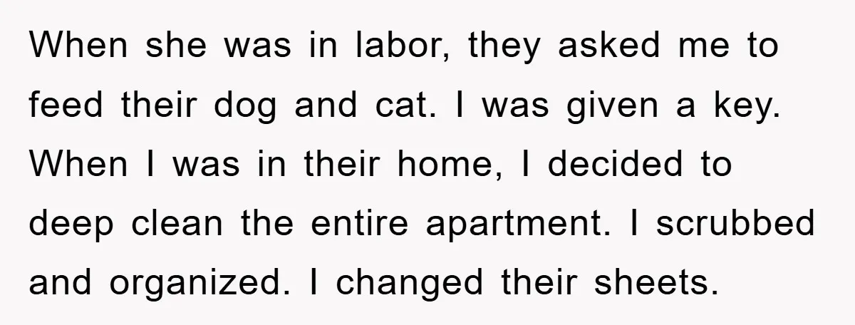 When she was in labor, they asked me to feed their dog and cat. I was given a key. When I was in their home, I decided to deep clean...