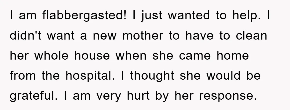 I am flabbergasted! I just wanted to help. I didn't want a new mother to have to clean her whole house when she came home from the hospital. I thought...