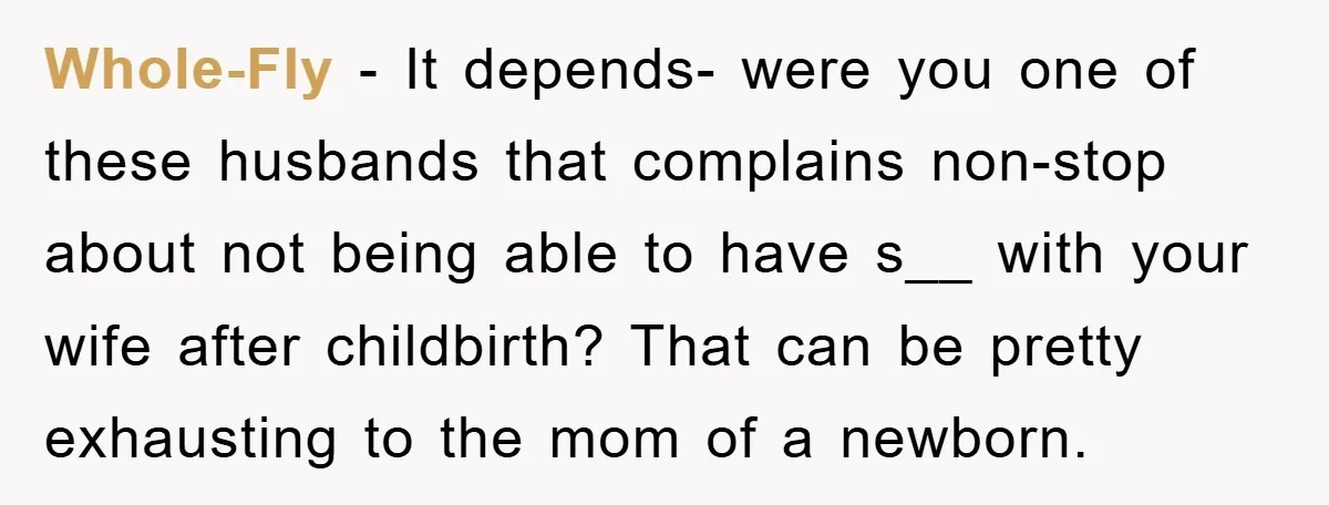 Whole-Fly − It depends- were you one of these husbands that complains non-stop about not being able to have s__ with your wife after childbirth? That can be pretty exhausting...