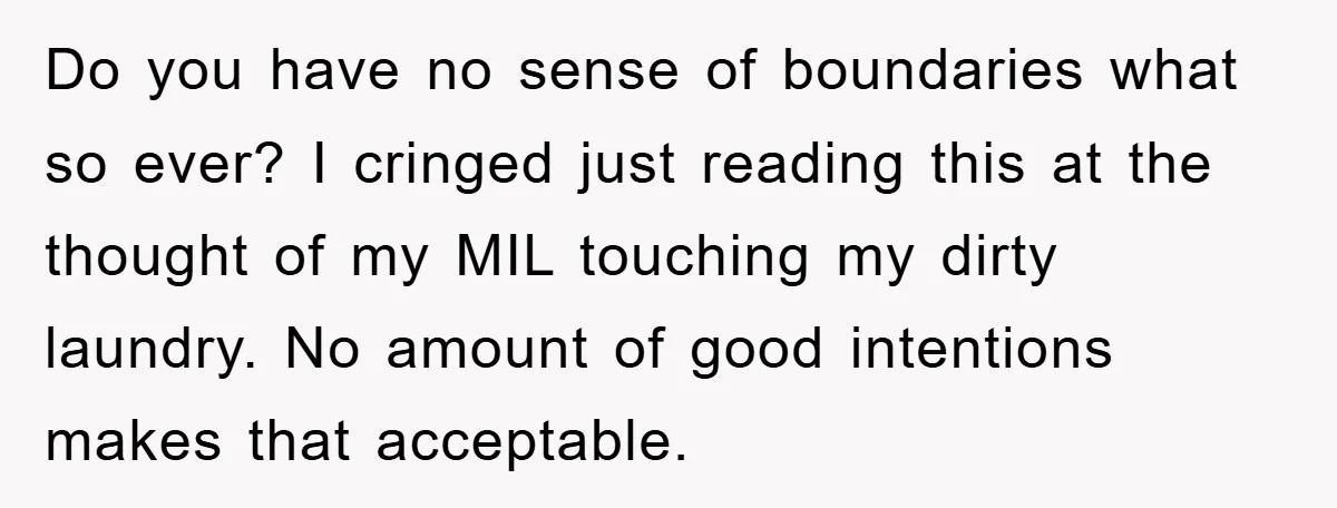 Do you have no sense of boundaries what so ever? I cringed just reading this at the thought of my MIL touching my dirty laundry. No amount of good intentions...