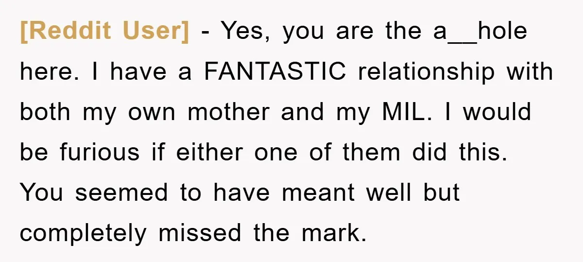 [Reddit User] − Yes, you are the a__hole here. I have a FANTASTIC relationship with both my own mother and my MIL. I would be furious if either one of...