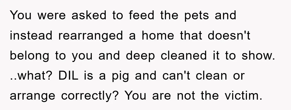 You were asked to feed the pets and instead rearranged a home that doesn't belong to you and deep cleaned it to show. ..what? DIL is a pig and can't...