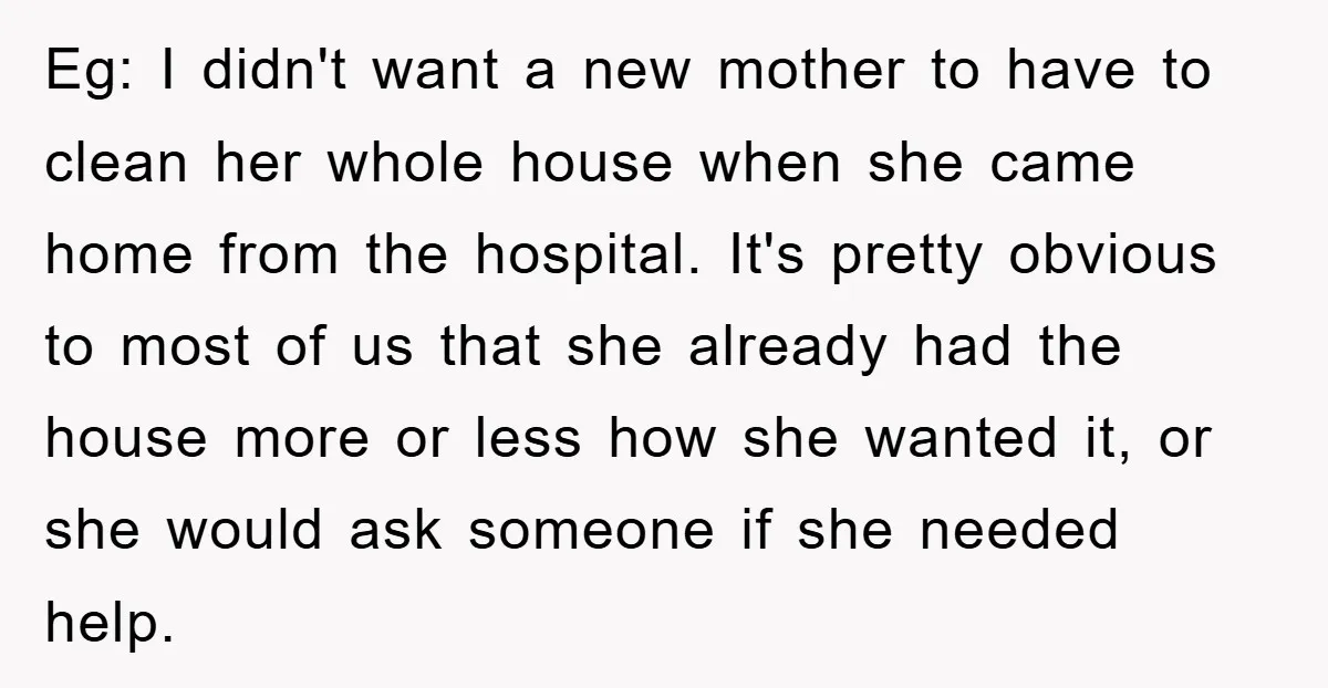 Eg: I didn't want a new mother to have to clean her whole house when she came home from the hospital. It's pretty obvious to most of us that she...