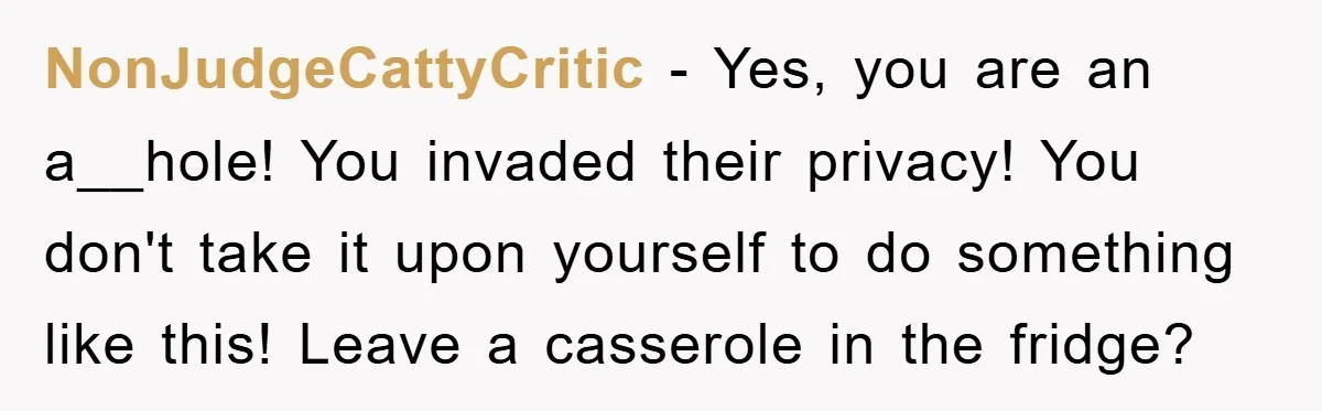 NonJudgeCattyCritic − Yes, you are an a__hole! You invaded their privacy! You don't take it upon yourself to do something like this! Leave a casserole in the fridge?