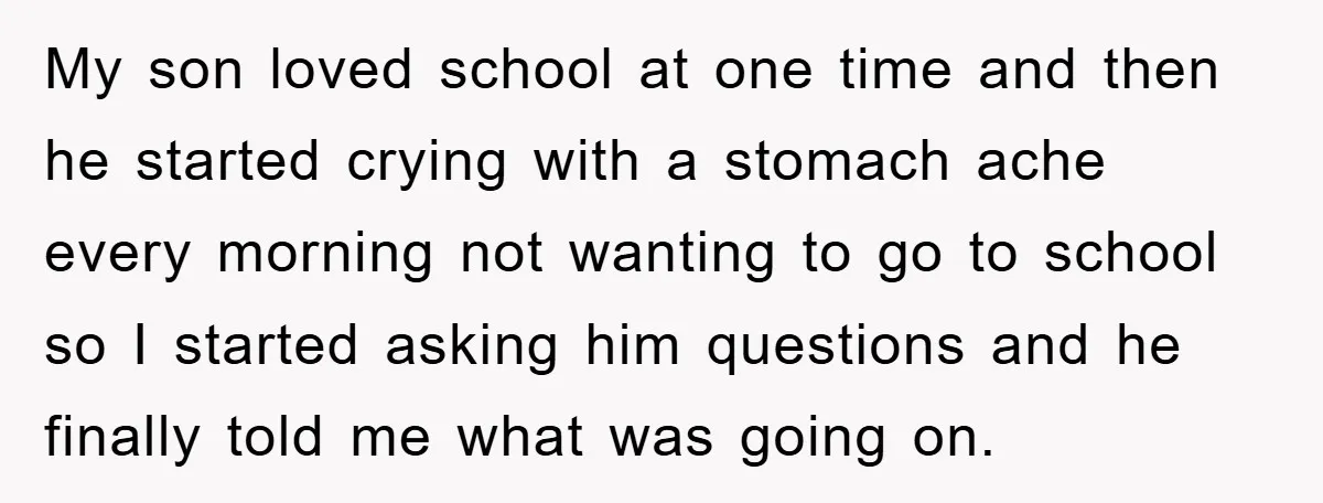My son loved school at one time and then he started crying with a stomach ache every morning not wanting to go to school so I started asking him questions...