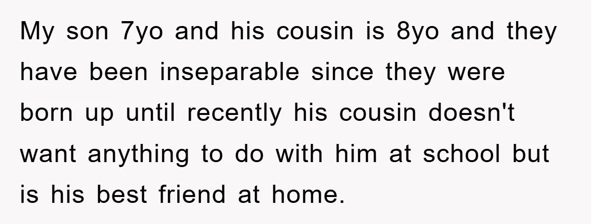 My son 7yo and his cousin is 8yo and they have been inseparable since they were born up until recently his cousin doesn't want anything to do with him at...
