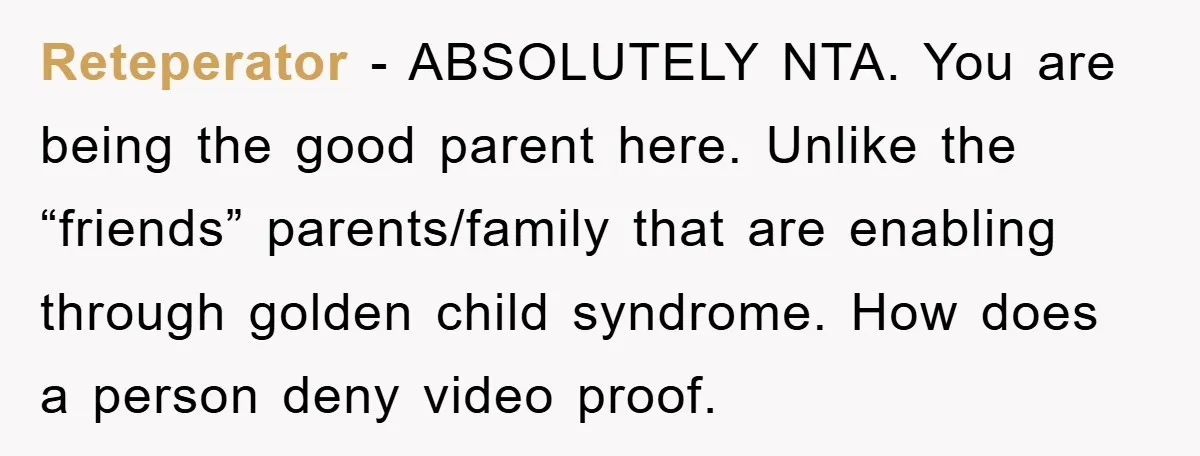 Reteperator − ABSOLUTELY NTA. You are being the good parent here. Unlike the “friends” parents/family that are enabling through golden child syndrome. How does a person deny video proof.