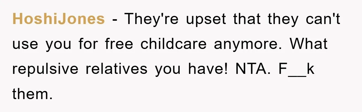 HoshiJones − They're upset that they can't use you for free childcare anymore. What repulsive relatives you have! NTA. F__k them.