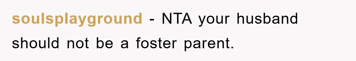 soulsplayground − NTA your husband should not be a foster parent.