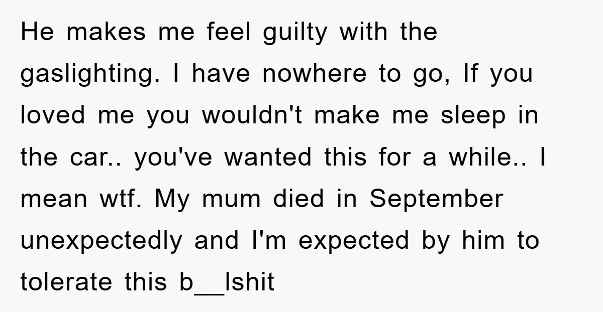 He makes me feel guilty with the gaslighting. I have nowhere to go, If you loved me you wouldn't make me sleep in the car.. you've wanted this for a...