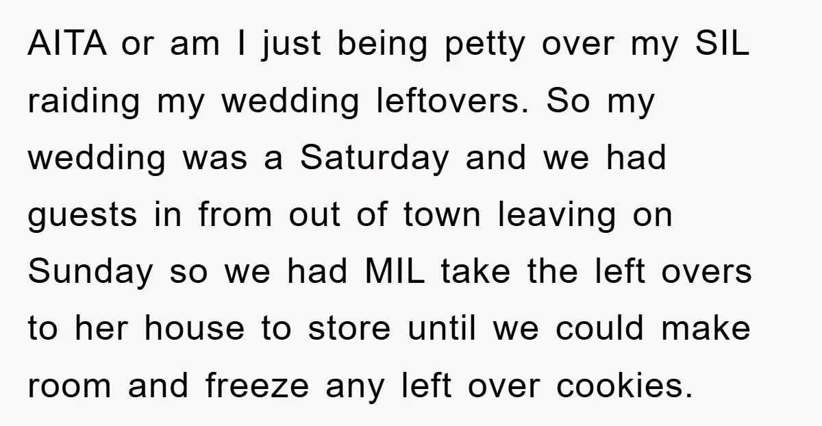 AITA or am I just being petty over my SIL raiding my wedding leftovers. So my wedding was a Saturday and we had guests in from out of town leaving...