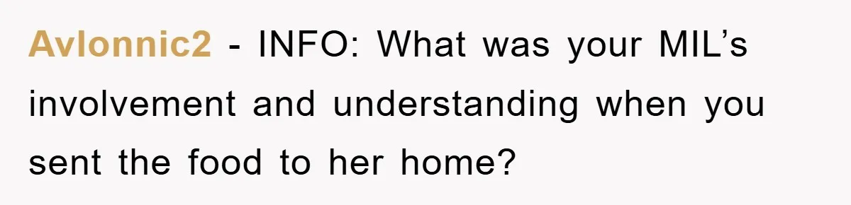 Avlonnic2 − INFO: What was your MIL’s involvement and understanding when you sent the food to her home?