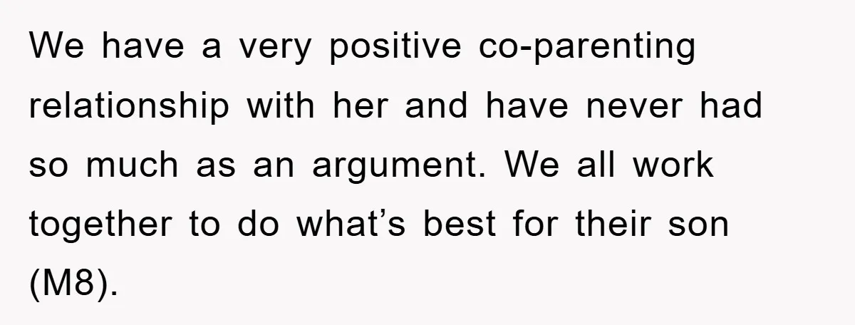 We have a very positive co-parenting relationship with her and have never had so much as an argument. We all work together to do what’s best for their son (M8).