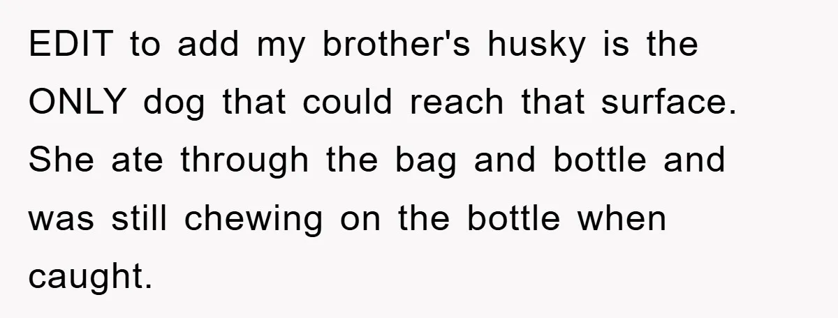 EDIT to add my brother's husky is the ONLY dog that could reach that surface. She ate through the bag and bottle and was still chewing on the bottle when...