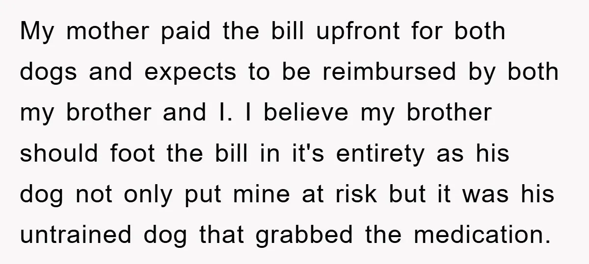 My mother paid the bill upfront for both dogs and expects to be reimbursed by both my brother and I. I believe my brother should foot the bill in it's...