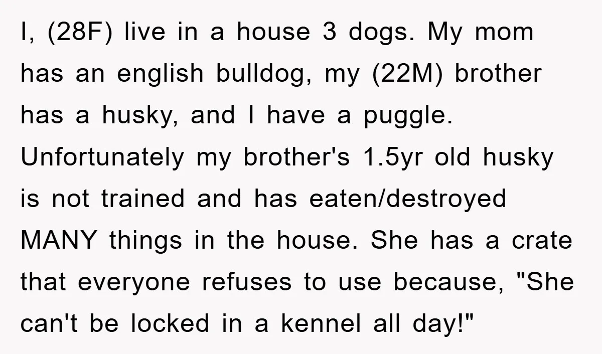 I, (28F) live in a house 3 dogs. My mom has an english bulldog, my (22M) brother has a husky, and I have a puggle. Unfortunately my brother's 1.5yr old...