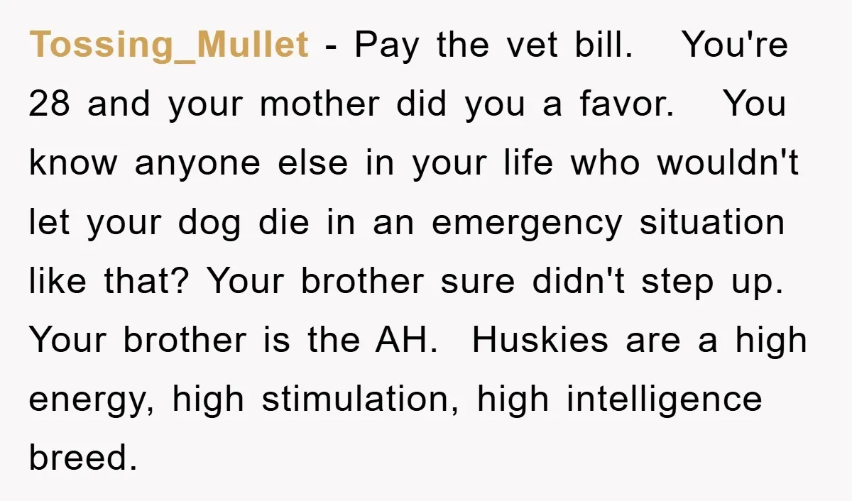 Tossing_Mullet − Pay the vet bill. You're 28 and your mother did you a favor. You know anyone else in your life who wouldn't let your dog die in an...