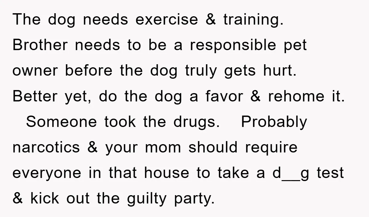 The dog needs exercise & training. Brother needs to be a responsible pet owner before the dog truly gets hurt. Better yet, do the dog a favor & rehome it....