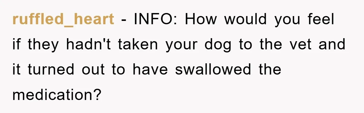 ruffled_heart − INFO: How would you feel if they hadn't taken your dog to the vet and it turned out to have swallowed the medication?