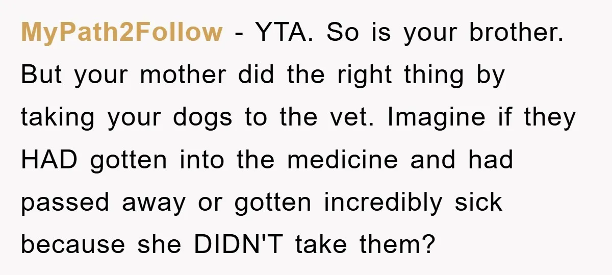 MyPath2Follow − YTA. So is your brother. But your mother did the right thing by taking your dogs to the vet. Imagine if they HAD gotten into the medicine and...