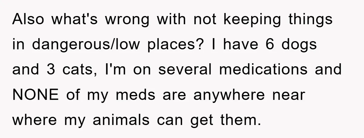 Also what's wrong with not keeping things in dangerous/low places? I have 6 dogs and 3 cats, I'm on several medications and NONE of my meds are anywhere near where...