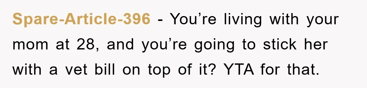 Spare-Article-396 − You’re living with your mom at 28, and you’re going to stick her with a vet bill on top of it? YTA for that.