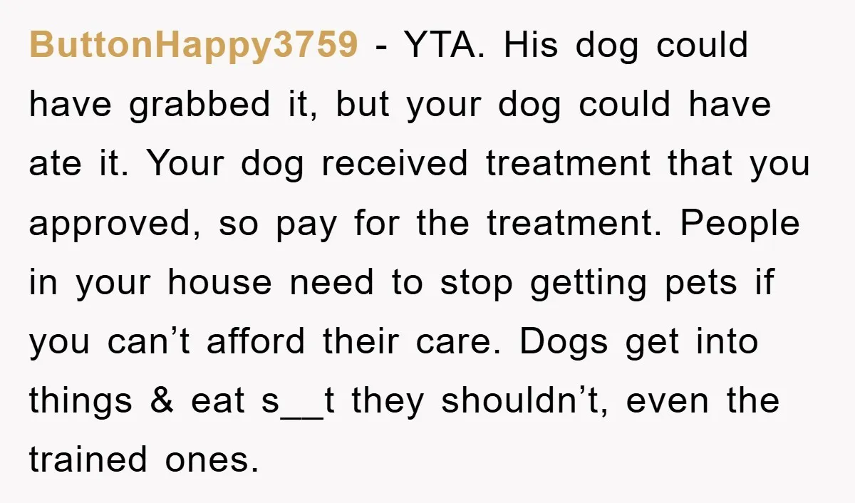 ButtonHappy3759 − YTA. His dog could have grabbed it, but your dog could have ate it. Your dog received treatment that you approved, so pay for the treatment. People in...