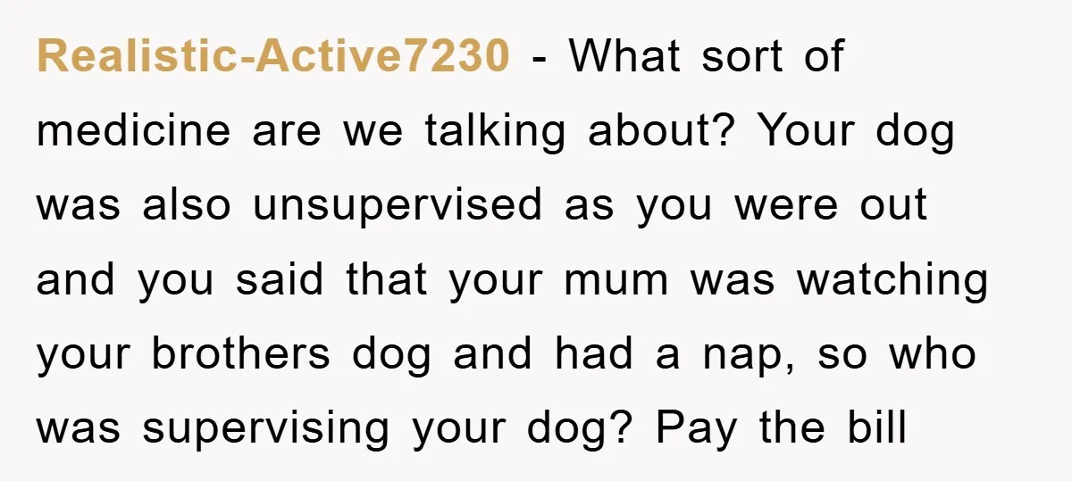 Realistic-Active7230 − What sort of medicine are we talking about? Your dog was also unsupervised as you were out and you said that your mum was watching your brothers dog...