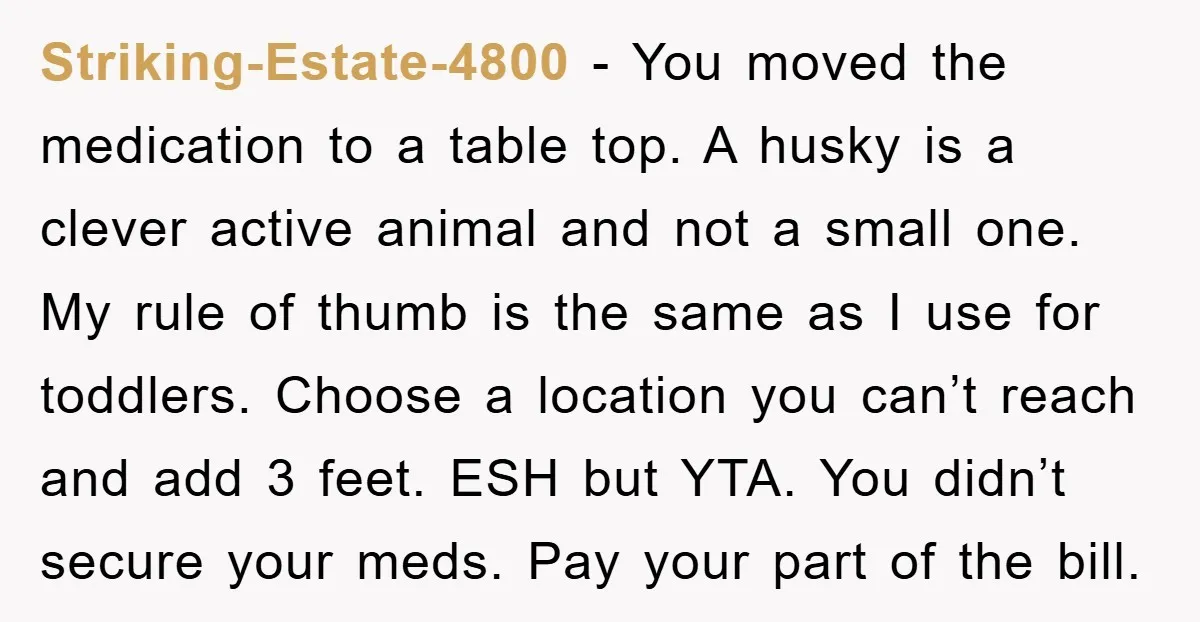 Striking-Estate-4800 − You moved the medication to a table top. A husky is a clever active animal and not a small one. My rule of thumb is the same as...