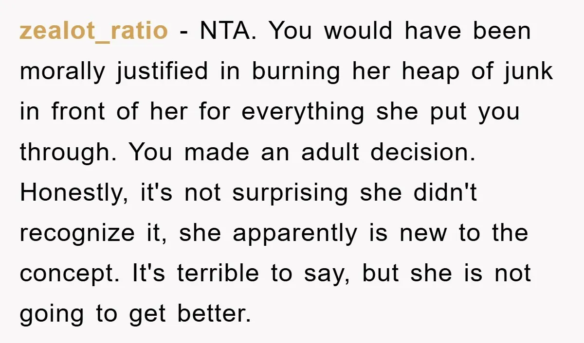 zealot_ratio − NTA. You would have been morally justified in burning her heap of junk in front of her for everything she put you through. You made an adult decision....