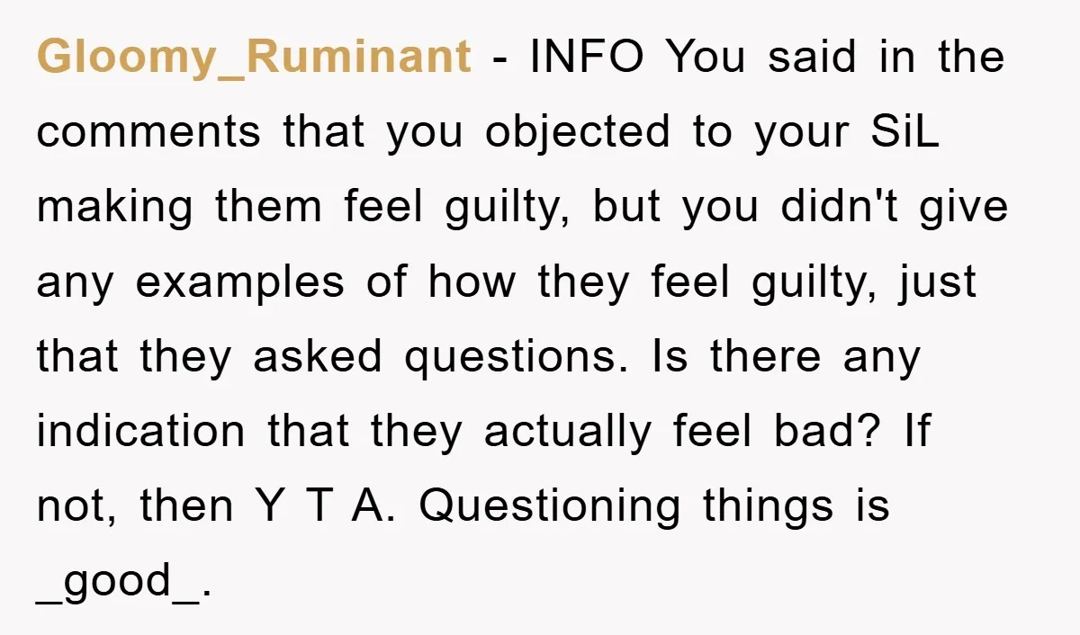Gloomy_Ruminant − INFO You said in the comments that you objected to your SiL making them feel guilty, but you didn't give any examples of how they feel guilty, just...