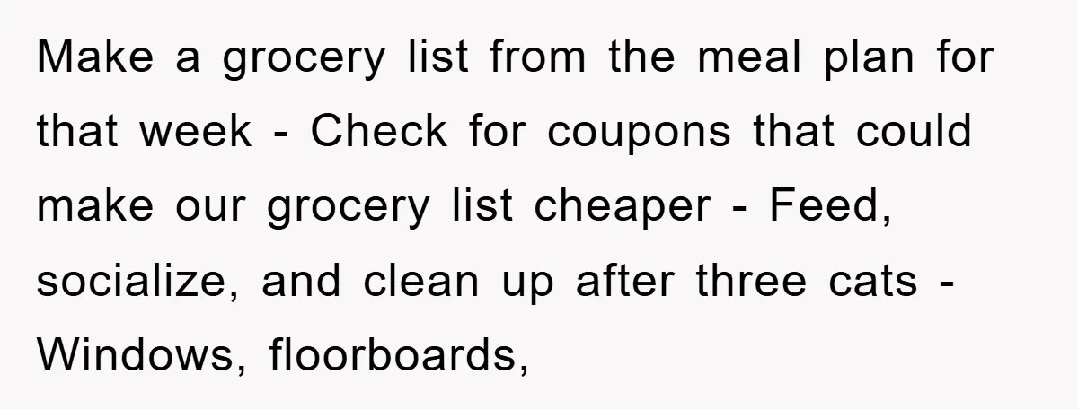 Make a grocery list from the meal plan for that week - Check for coupons that could make our grocery list cheaper - Feed, socialize, and clean up after three...