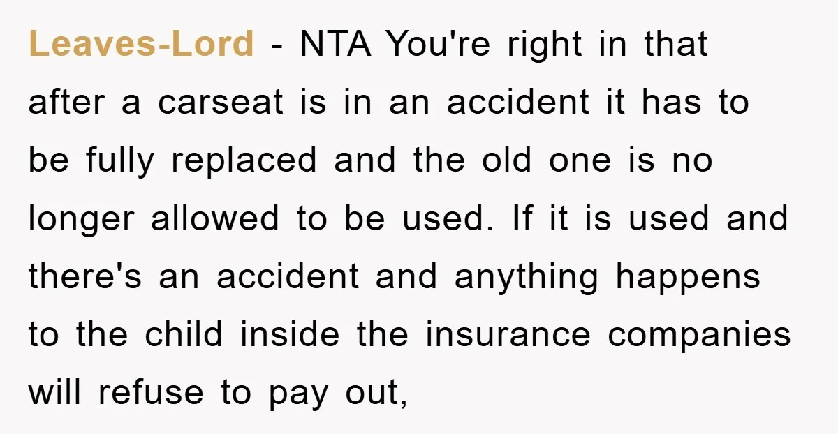 Leaves-Lord − NTA You're right in that after a carseat is in an accident it has to be fully replaced and the old one is no longer allowed to be...