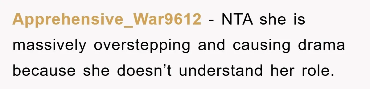 Apprehensive_War9612 − NTA she is massively overstepping and causing drama because she doesn’t understand her role.