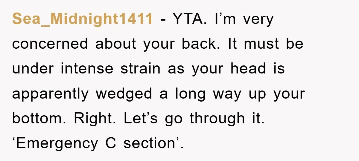 Sea_Midnight1411 − YTA. I’m very concerned about your back. It must be under intense strain as your head is apparently wedged a long way up your bottom. Right. Let’s go...