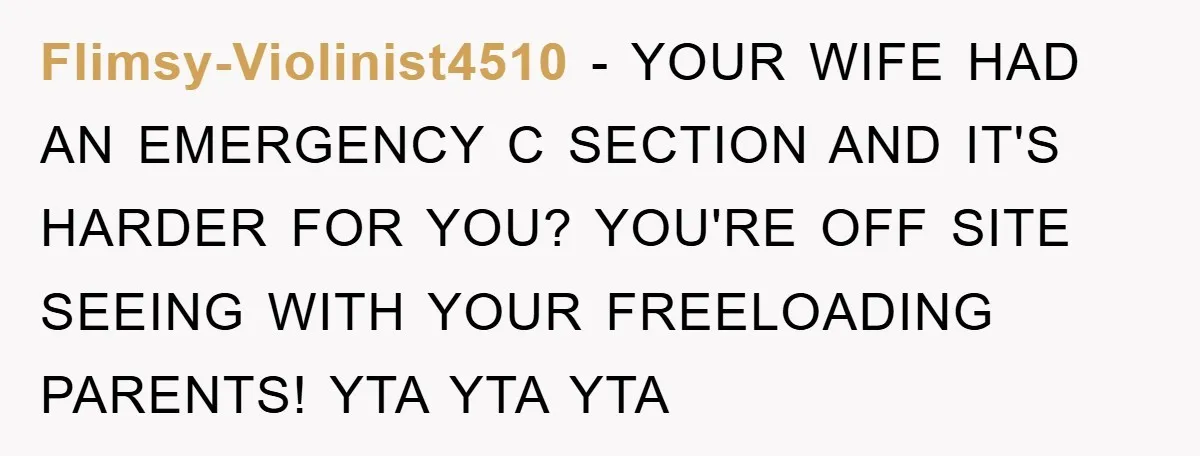 Flimsy-Violinist4510 − YOUR WIFE HAD AN EMERGENCY C SECTION AND IT'S HARDER FOR YOU? YOU'RE OFF SITE SEEING WITH YOUR FREELOADING PARENTS! YTA YTA YTA