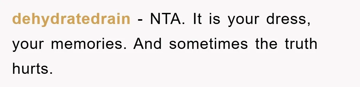 dehydratedrain − NTA. It is your dress, your memories. And sometimes the truth hurts.