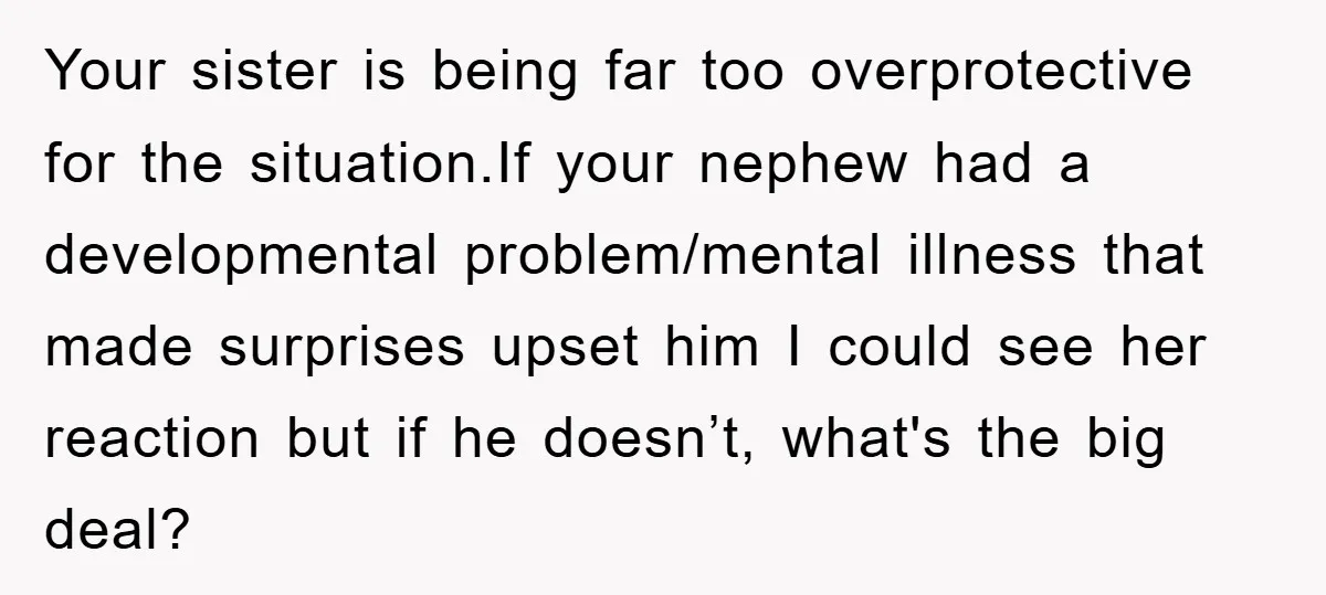 Your sister is being far too overprotective for the situation.If your nephew had a developmental problem/mental illness that made surprises upset him I could see her reaction but if he...