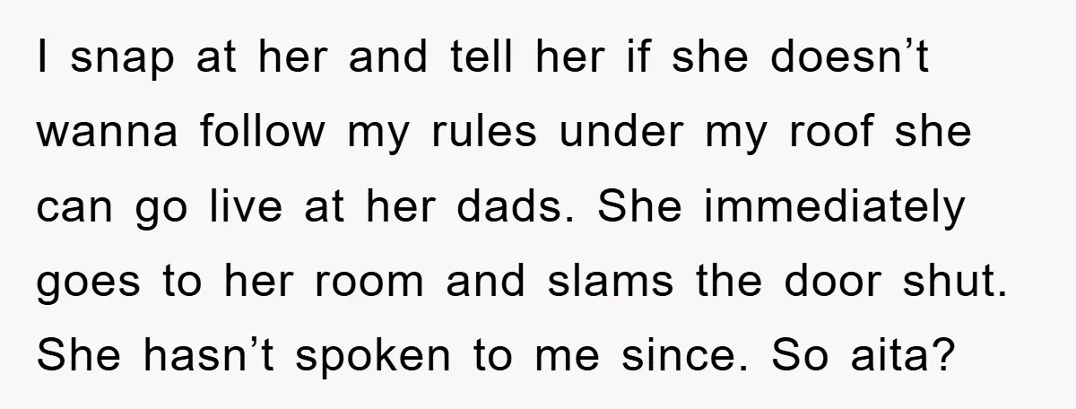 I snap at her and tell her if she doesn’t wanna follow my rules under my roof she can go live at her dads. She immediately goes to her room...