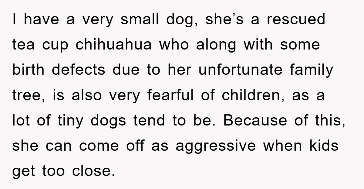 I have a very small dog, she’s a rescued tea cup chihuahua who along with some birth defects due to her unfortunate family tree, is also very fearful of children,...