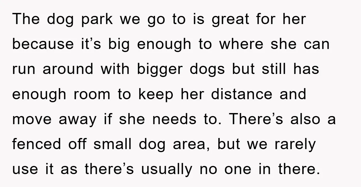The dog park we go to is great for her because it’s big enough to where she can run around with bigger dogs but still has enough room to keep...