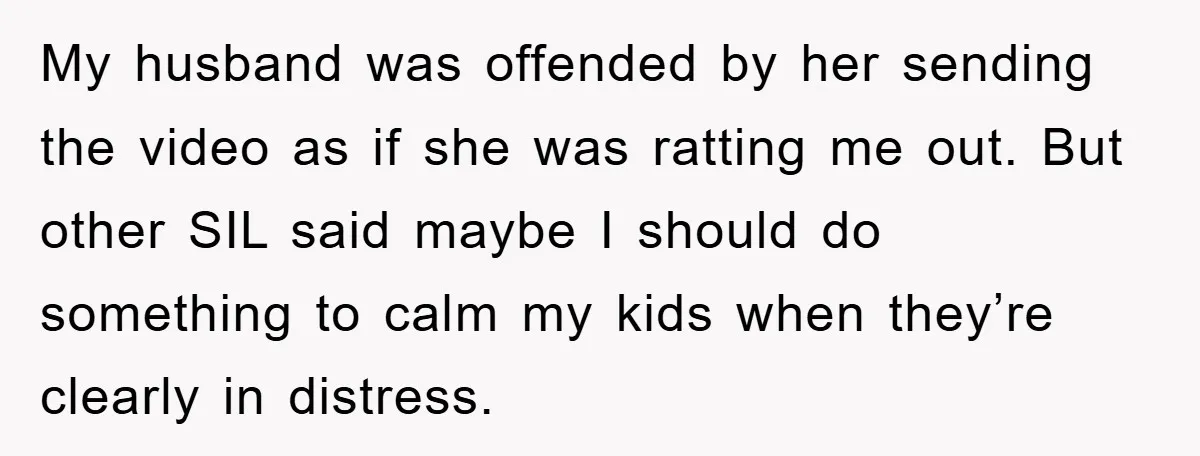 My husband was offended by her sending the video as if she was ratting me out. But other SIL said maybe I should do something to calm my kids when...