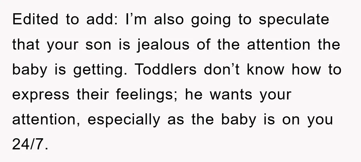 Edited to add: I’m also going to speculate that your son is jealous of the attention the baby is getting. Toddlers don’t know how to express their feelings; he wants...