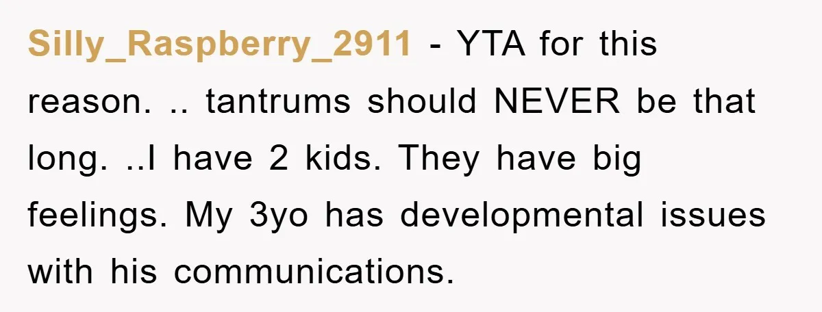 Silly_Raspberry_2911 − YTA for this reason. .. tantrums should NEVER be that long. ..I have 2 kids. They have big feelings. My 3yo has developmental issues with his communications.