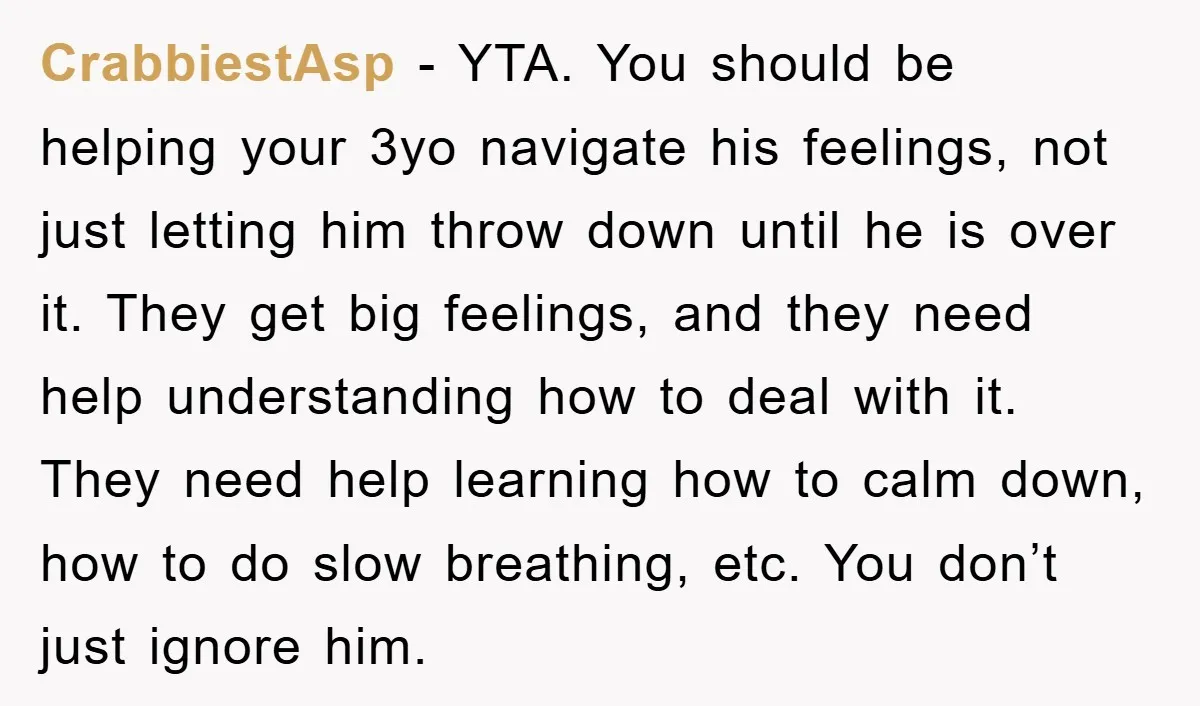 CrabbiestAsp − YTA. You should be helping your 3yo navigate his feelings, not just letting him throw down until he is over it. They get big feelings, and they need...