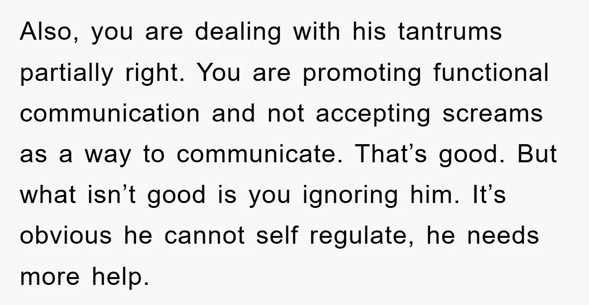 Also, you are dealing with his tantrums partially right. You are promoting functional communication and not accepting screams as a way to communicate. That’s good. But what isn’t good is...